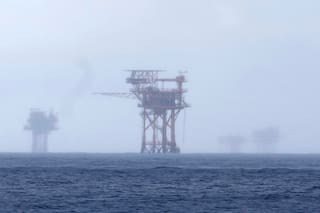 EE.UU. busca exención de la ley de especies en peligro para petróleo y gas en el Golfo
