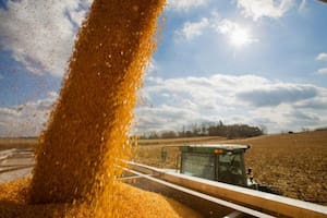 Es tiempo de actuar con cautela para ponderar todos los factores en juego