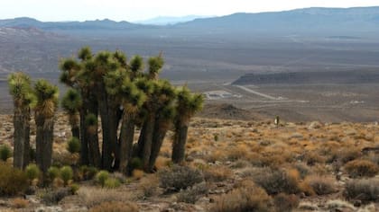 EE.UU. quiere construir un proyecto semejante en las montañas de Yucca en Nevada
