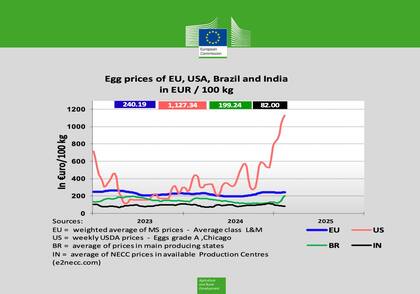 EE.UU registró un fuerte incremento del precio de huevo