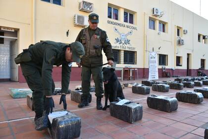 Efectivos de Gendarmería Nacional, con la ayuda de Tango, descubrieron un camión con casi una tonelada y media de marihuana en Formosa