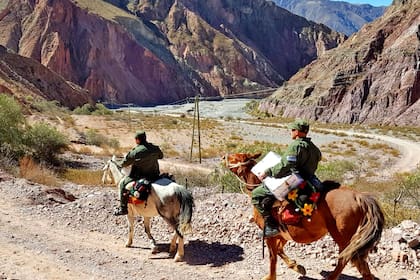 Efectivos de Gendarmería se desplazan a caballo a cubrir el distrito electoral Iruya