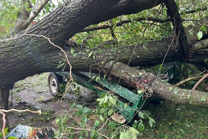 Efecto del temporal en un campo de Bragado