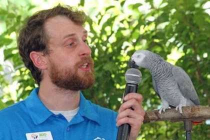 Einstein alcanzó fama internacional tras su paso por el programa Pet Star (Foto: Zoo Knoxville)
