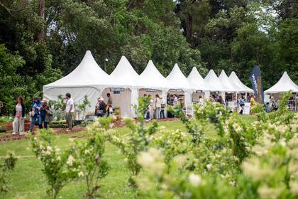 Ejemplares de Olea texana, y atrás los espacios de los viveros, de los más visitados de la feria.