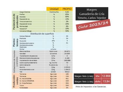 Ejemplo del margen neto de un productor chico de Carlos Tejedor