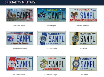 Ejemplos de placas especiales ya existentes en Florida