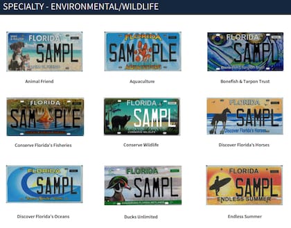 Ejemplos de placas especiales ya existentes en Florida