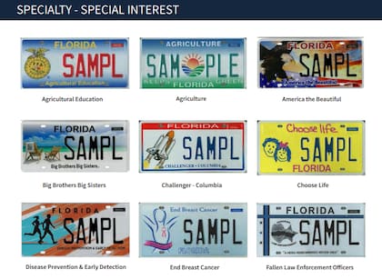 Ejemplos de placas especiales ya existentes en Florida