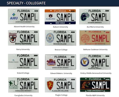 Ejemplos de placas especiales ya existentes en Florida