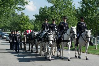 Ejército de EEUU pondrá fin a la mayoría de sus programas ceremoniales con caballos