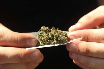 El 13,8% de los encuestados reconoció el uso frecuente de marihuana