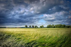 El 15 de junio se celebra el Día Global del Viento (Foto: Pixabay)