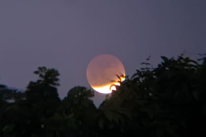 El 15 de mayo habrá un eclipse lunar (Foto: Rechelle Pascua)