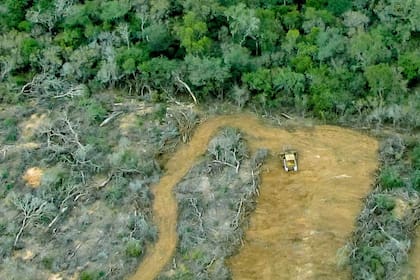 El 15% de la emisión de gases efecto invernadero de la Argentina son provenientes de la deforestación según un informe del Ministerio de Ambiente y Desarrollo Sustentable