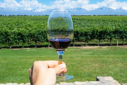 La votación en favor de la ley de alcohol cero al volante, en la Cámara de Diputados de la Nación, ocurrió el Día del Vino Argentino