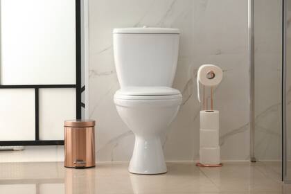 El 19 de noviembre se celebra el Día Mundial del Retrete.