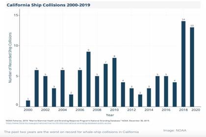 El 2018 y 2019 fueron los años donde más colisiones hubo