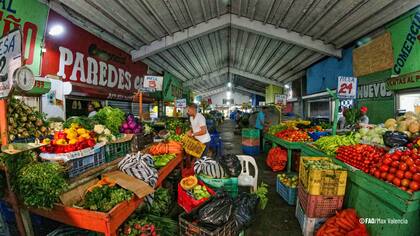 El 2022 en su conjunto, el índice de precios de los alimentos de la FAO alcanzó un promedio de 143,7 puntos, un 14,3 % por encima de su valor promedio a lo largo de 2021