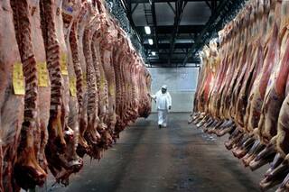 Prevén una desaceleración de las ventas al exterior de carne vacuna tras el récord de 2024