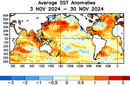 El 2024 se perfila como el segundo año más cálido de toda la serie desde 1961, “con temperaturas 0,6 °C por encima de los valores normales —tomando de enero a noviembre—, un valor solo superado por el 2023″