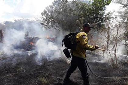 El 26 de enero pasado en Agustina, provincia de Buenos Aires, un incendio afectó unas 60 hectáreas de rastrojo de trigo, soja y un monte de eucaliptus