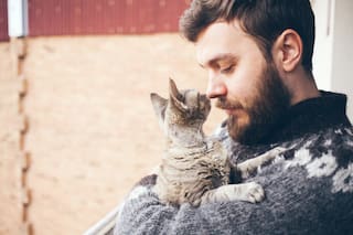 6 propuestas para honrar el Día del Animal