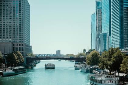 El 36% de las viviendas en The Loop son ocupadas por sus propietarios