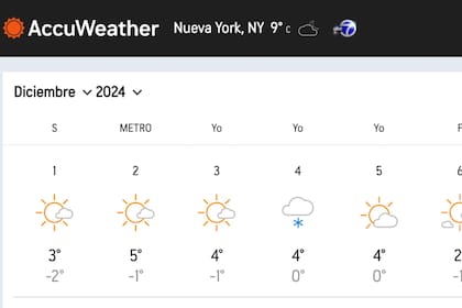 El 4 de diciembre podría caer la primera nevada sobre Nueva York.