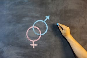 El 4 de octubre de 2006, el Senado convirtió en ley la Educación Sexual Integral