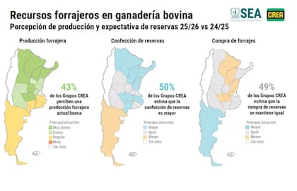 El 43% de los grupos CREA pecuarios reporta una producción forrajera actual buena, especialmente en el norte de la región pampeana y el norte argentino