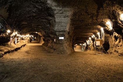 El 52 % de las bacterias encontradas en muestras de túneles de permafrost han sido especies nuevas