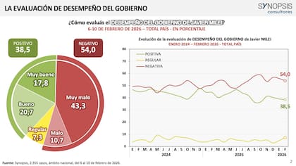 El 54% evaluó negativamente el desempeño del Gobierno en febrero, según Synopsis Consultores