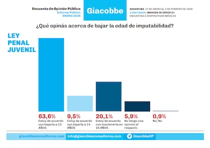 El 63,6% de los consultados por Giacobbe están de acuerdo con bajar la edad de imputabilidad a los 13 años