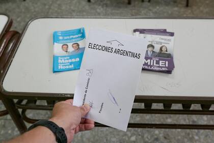 "El 66% del triunfo de Milei en 2023, esos doce puntos de diferencia que Milei le sacó a Massa, está concentrado entre los hombres menores de 35 años", dice