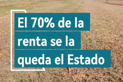 El 70% de lo que genera una hectárea agrícola se lo lleva el Estado