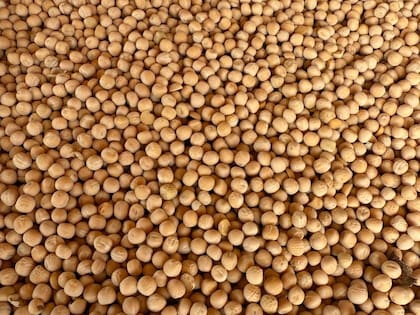 El 75% de la producción en el país es de arveja verde y el 25% amarilla