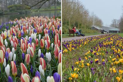 El 75% de los visitantes son extranjeros. La mayoría proviene de Alemania, Estados Unidos, Francia, el Reino Unido y China.