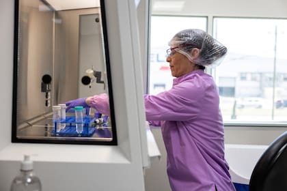 El 80% de la producción de esta nueva planta será destinado a mercados externos