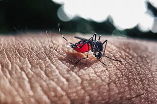 Confirman más de 100.000 casos de dengue en este año y ya es la peor epidemia en 15 años