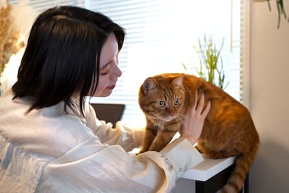 El 87% de los encuestados consideró que su gato tenía un impacto positivo en su vida (Foto: Freepik)