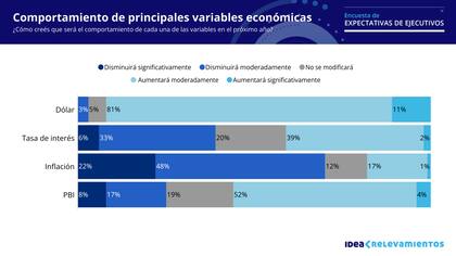 El 92% de los directores de IDEA consultados espera que el dólar aumente moderadamente (81%) o significativamente (11%)