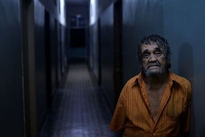 El 94% de todos los casos en América ocurrió en Brasil.