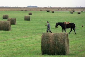 Opinión: en el sector agropecuario se vive el Grito de Alcorta a la inversa