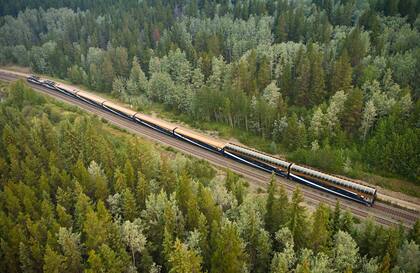 Los Rocky Mountaineer atraviesan bellísimos y diversos paisajes y tienen vagones con techos de cristal.