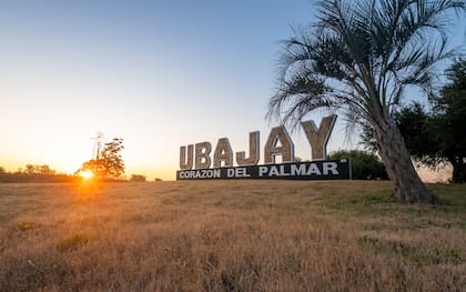 El acceso a Ubajay, en el corazón de El Palmar.