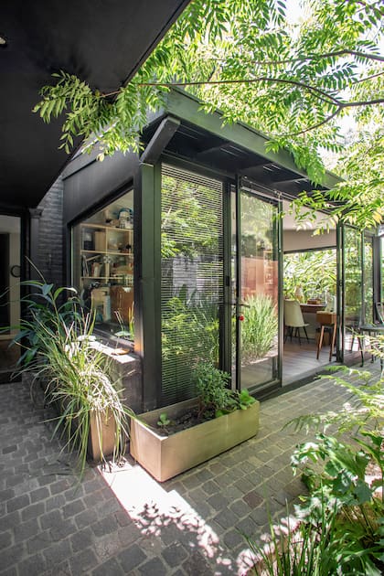 El acceso al taller de Andrea Bones anticipa de qué se trata el resto de su casa: espacios negros que se desdibujan para resaltar la vegetación circundante.