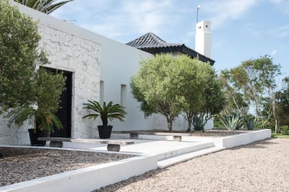 El acceso principal a la casa se refuerza con cuatro simétricos olivos y dos macetones.