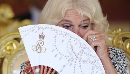 El accidente de la reina Camilla en su gira por Oceanía (GTRES)