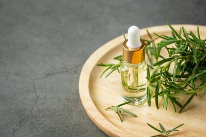 El aceite de romero favorece la concentración